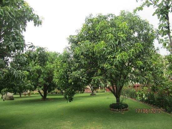 Jim Corbett Resort Ramnagar  Exteriér fotografie